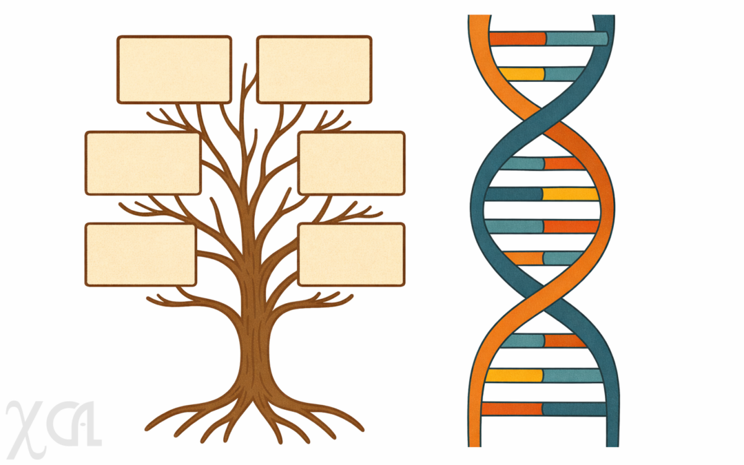 De l’écu aux chromosomes : la quête des origines à l’ère numérique